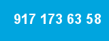 917 173 63 58 917 173 63 58